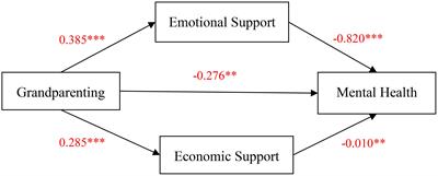 The impact of grandparenting on mental health among rural middle-aged and older adults in China: exploring the role of children’s support